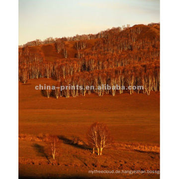 Günstige Stretched Landscape Canvas Prints